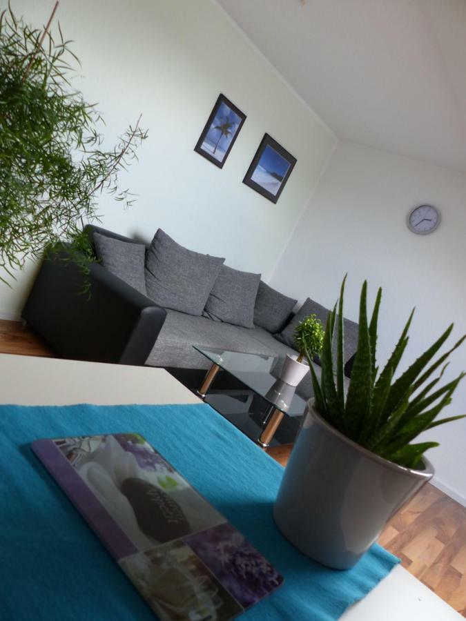 Schoene Komplette Ferienwohnung In Wesel Wesel (North Rhine-Westphalia) Exterior foto